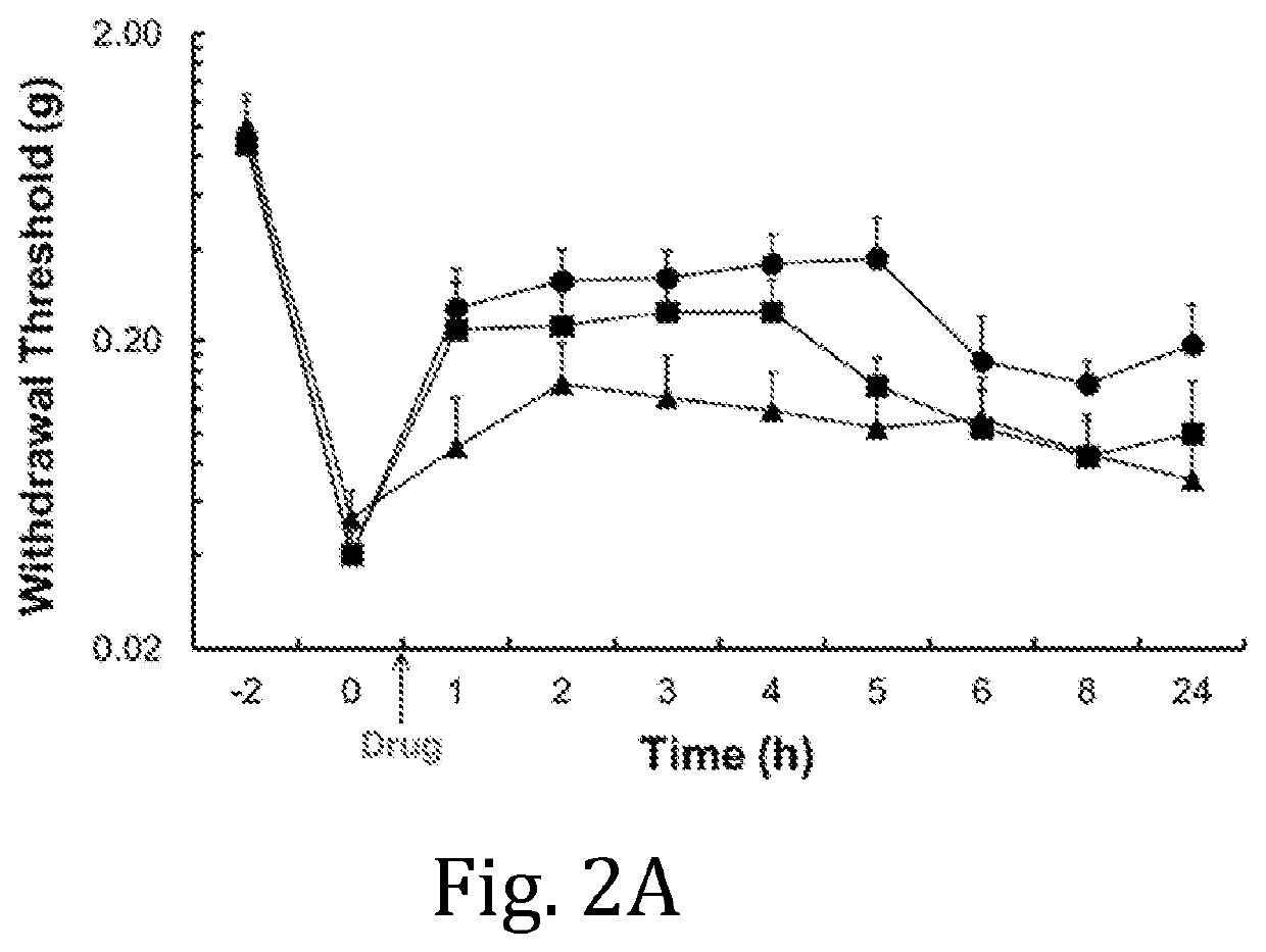 Sustained-release anesthetic compositions and methods of preparation thereof