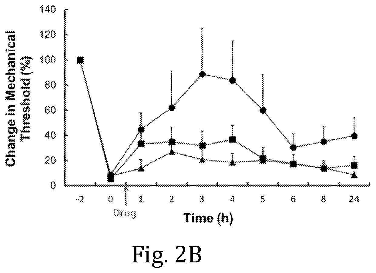 Sustained-release anesthetic compositions and methods of preparation thereof