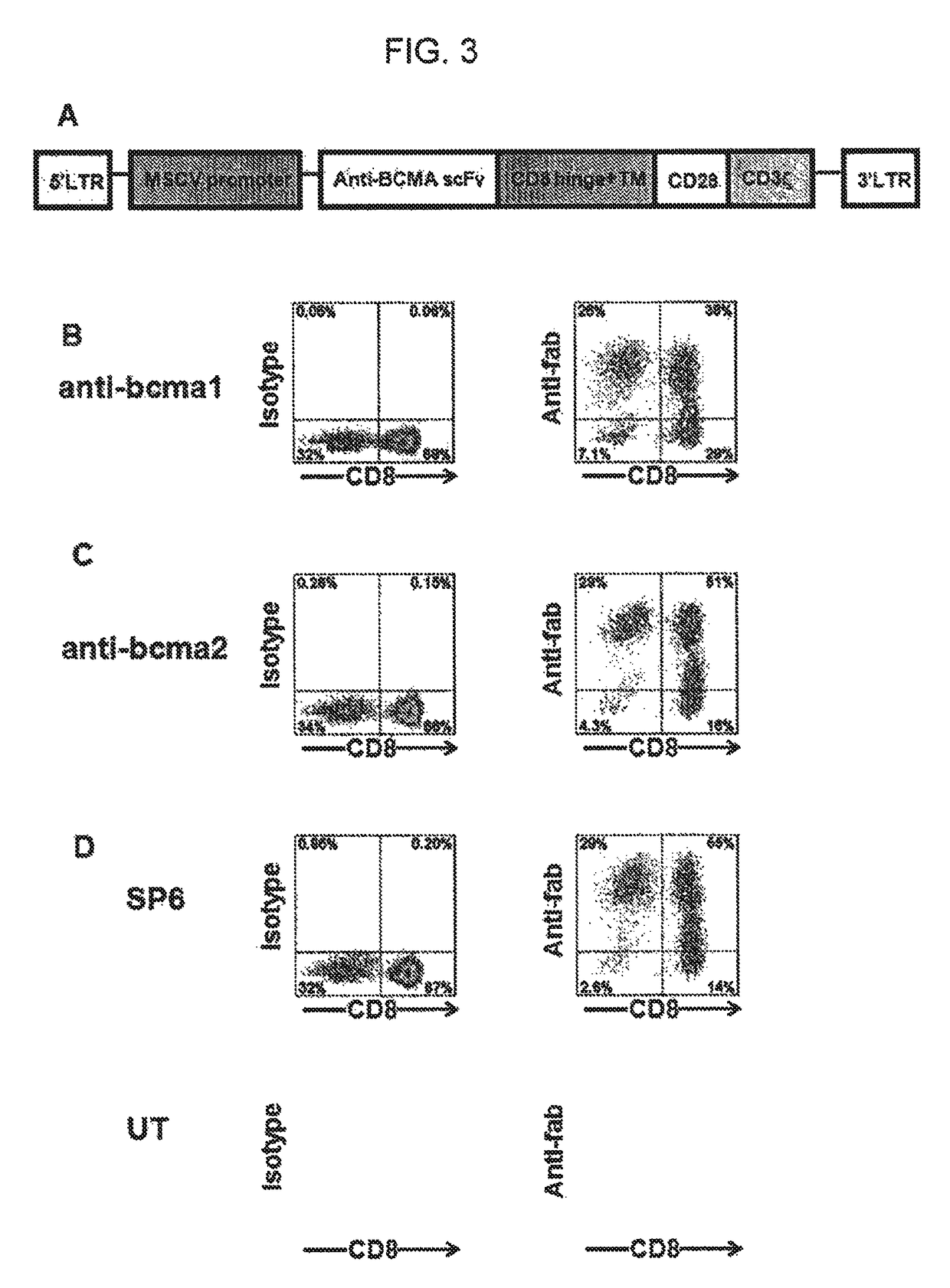 Chimeric antigen receptors targeting B-cell maturation antigen
