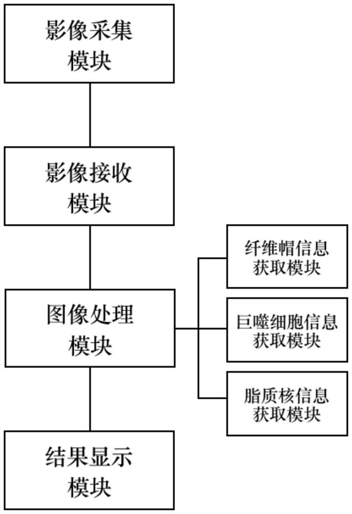 Plaque Stability Measurement System Based on Optical Coherence Tomography