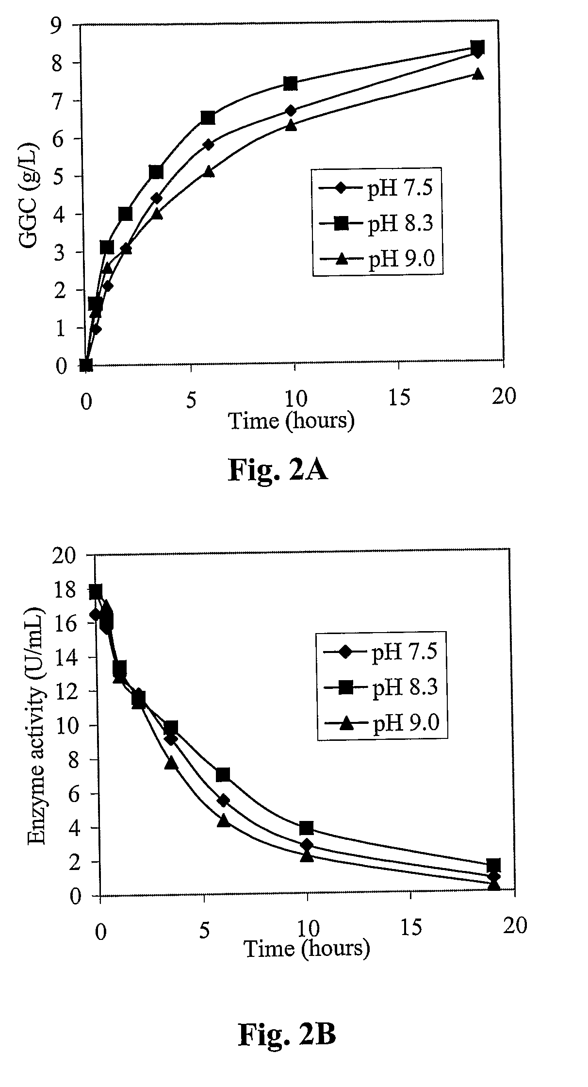 Process for the Production of Gamma-Glutamylcysteine