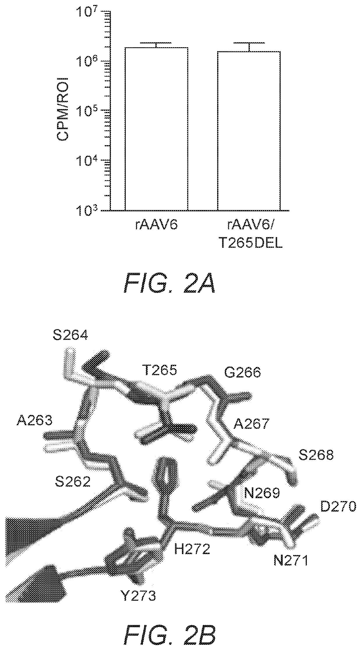 Modified Capsid Proteins for Enhanced Delivery of Parvovirus Vectors