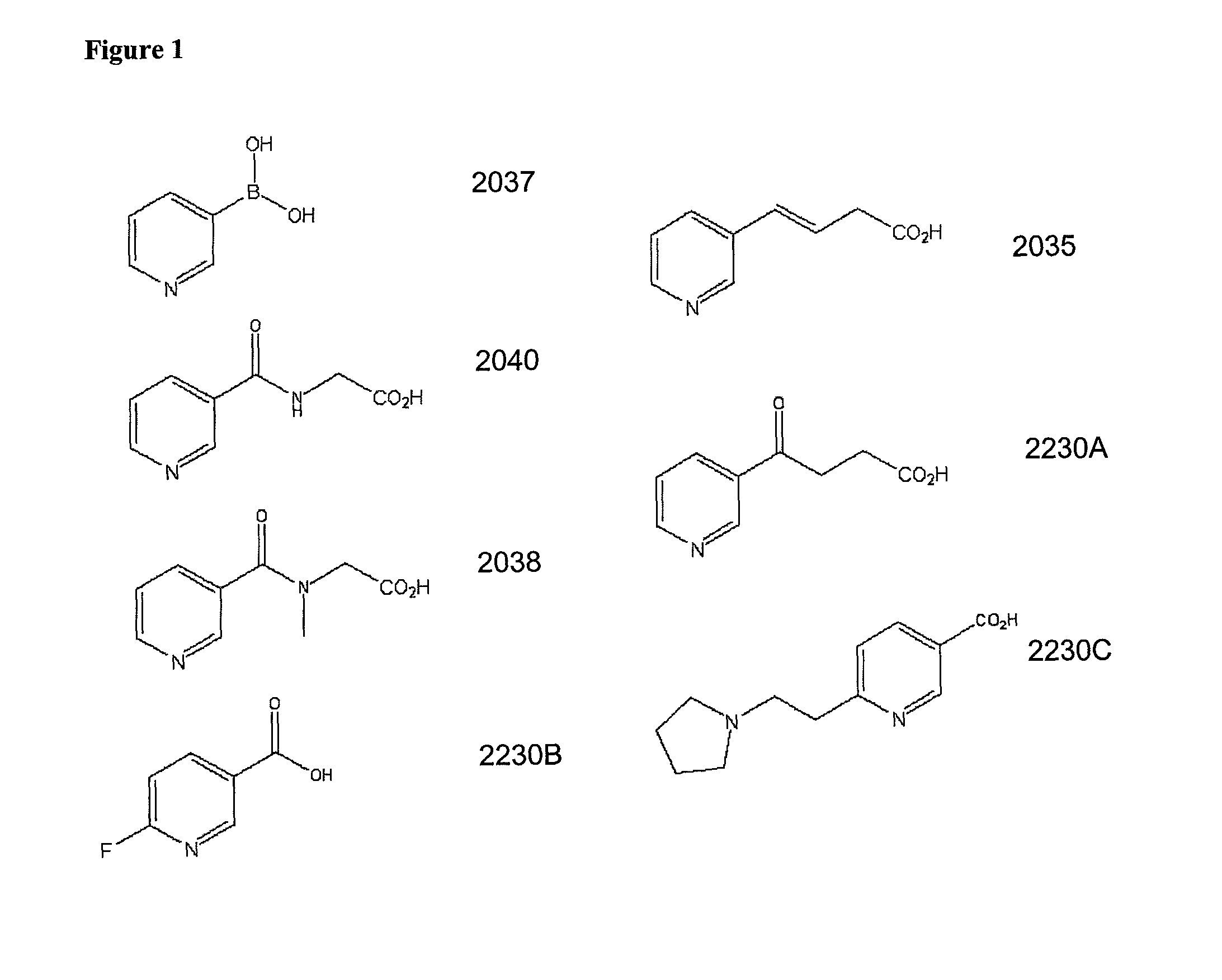 Non-flushing niacin analogues, and methods of use thereof