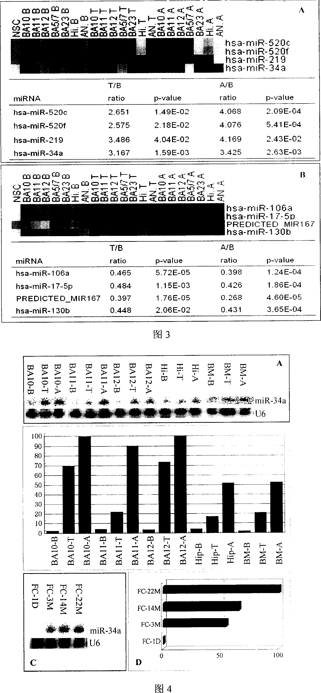 Use of miRNA-34a
