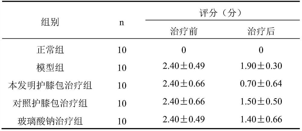 Traditional Chinese medicine composition for treating knee joint degenerative change and application thereof