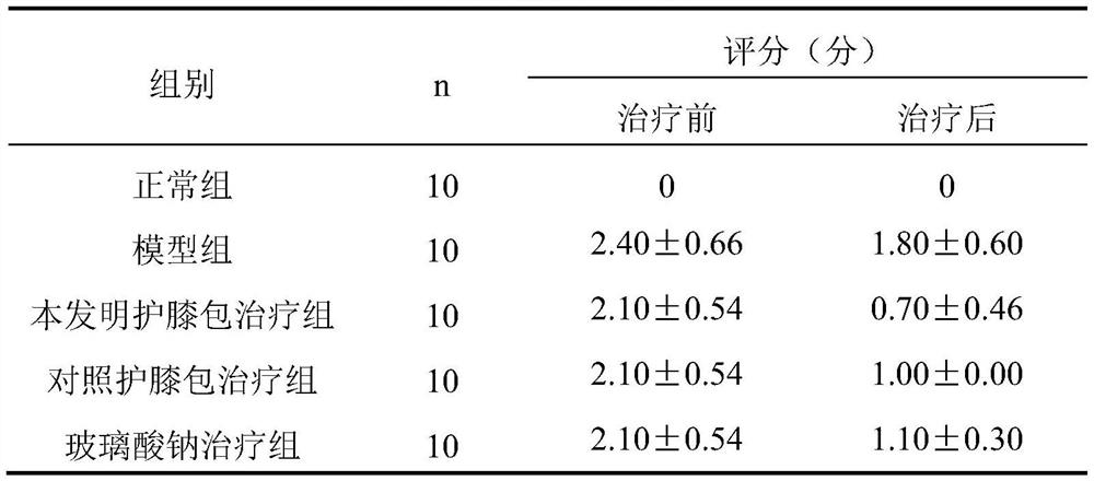 Traditional Chinese medicine composition for treating knee joint degenerative change and application thereof
