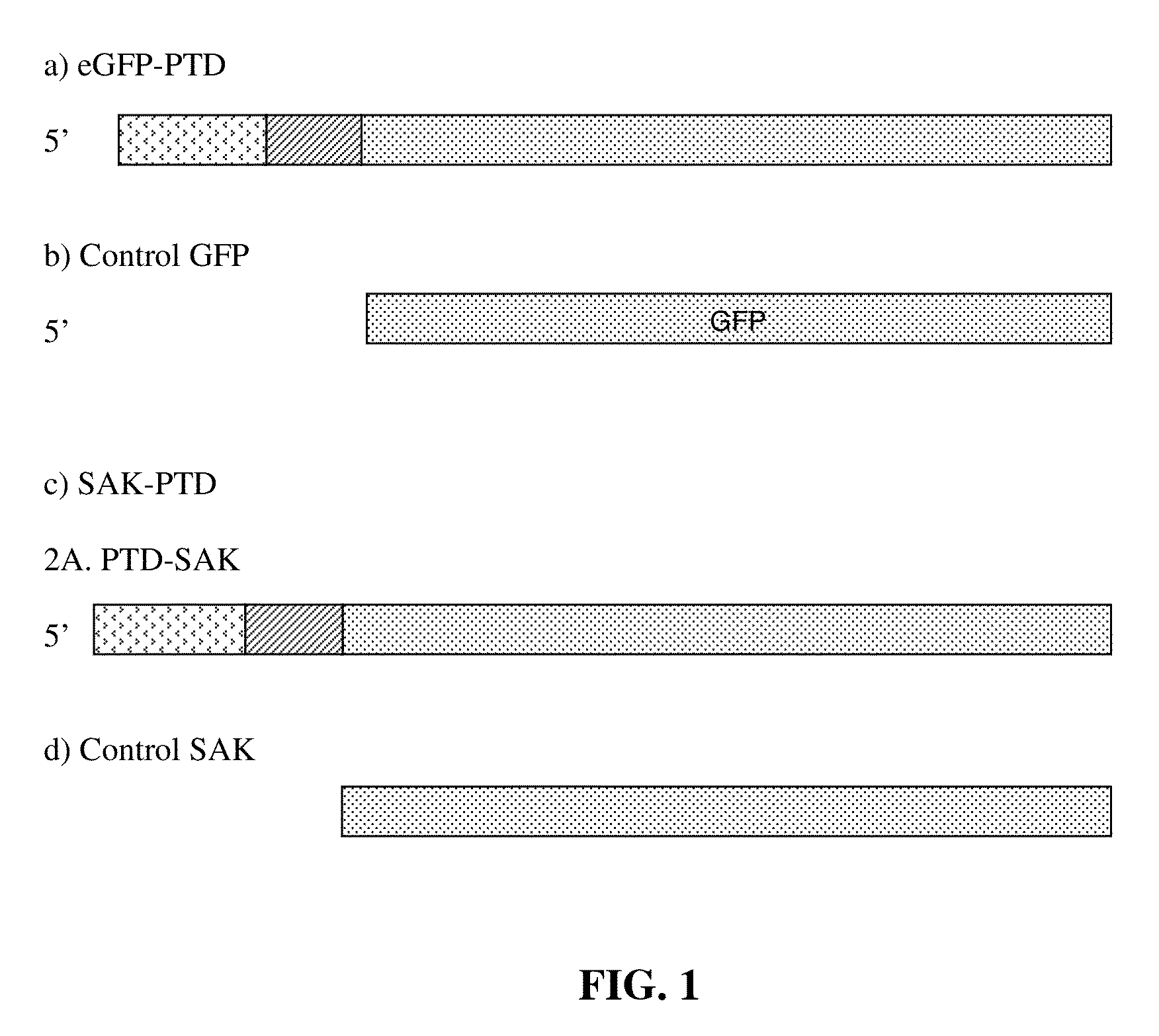 Chimeric fusion proteins