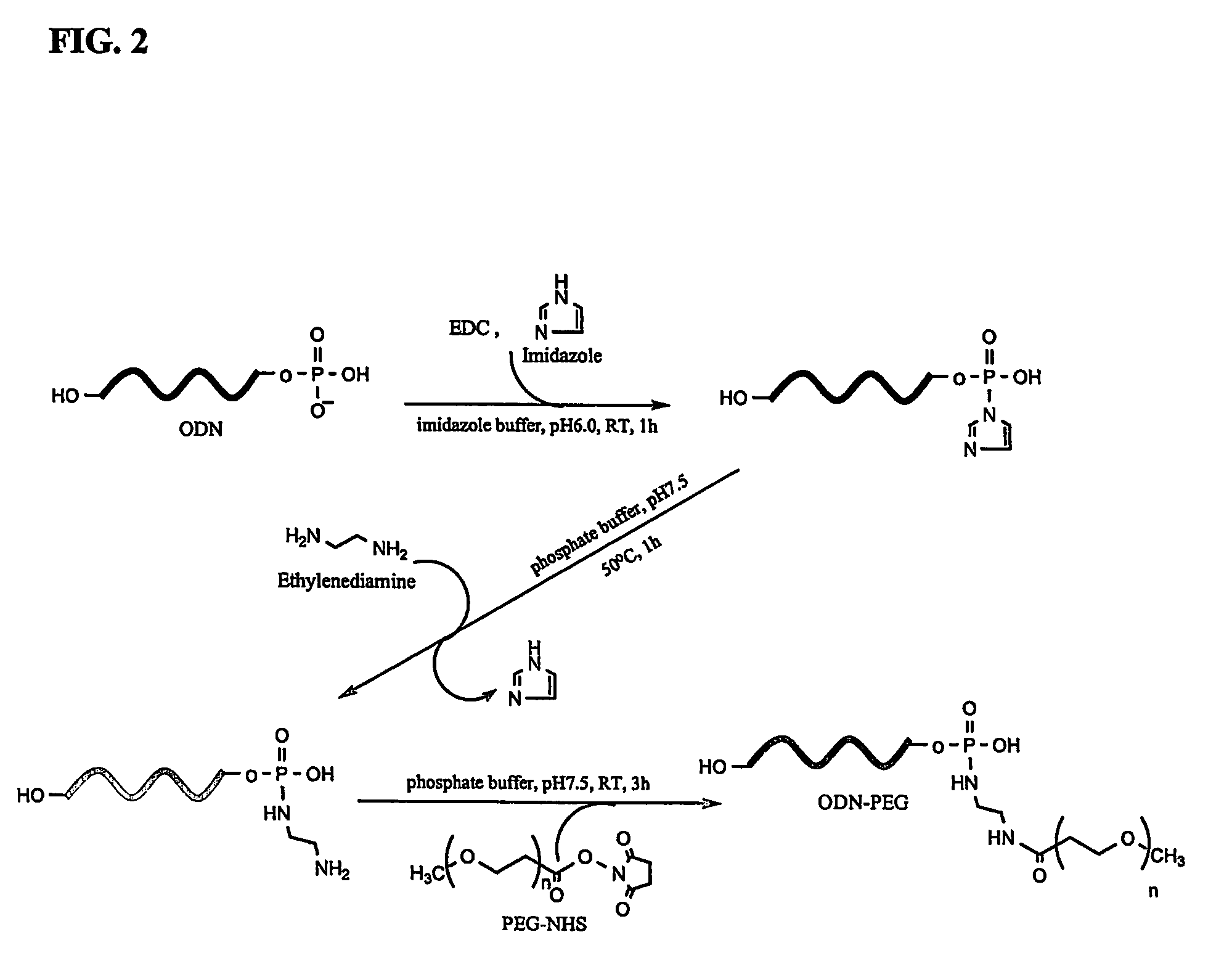 Conjugate for gene transfer comprising oligonucleotide and hydrophilic polymer, polyelectrolyte complex micelles formed from the conjugate, and methods for preparation thereof