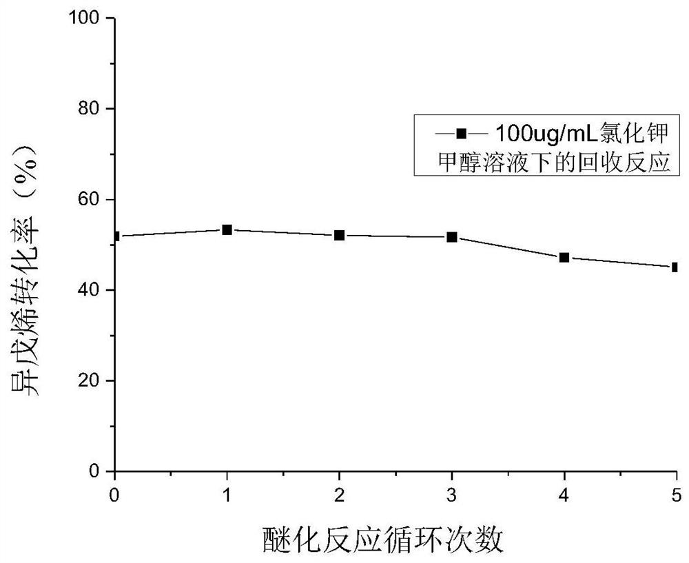 A kind of preparation method of methyl tert-amyl ether and a kind of upgrading method of light gasoline