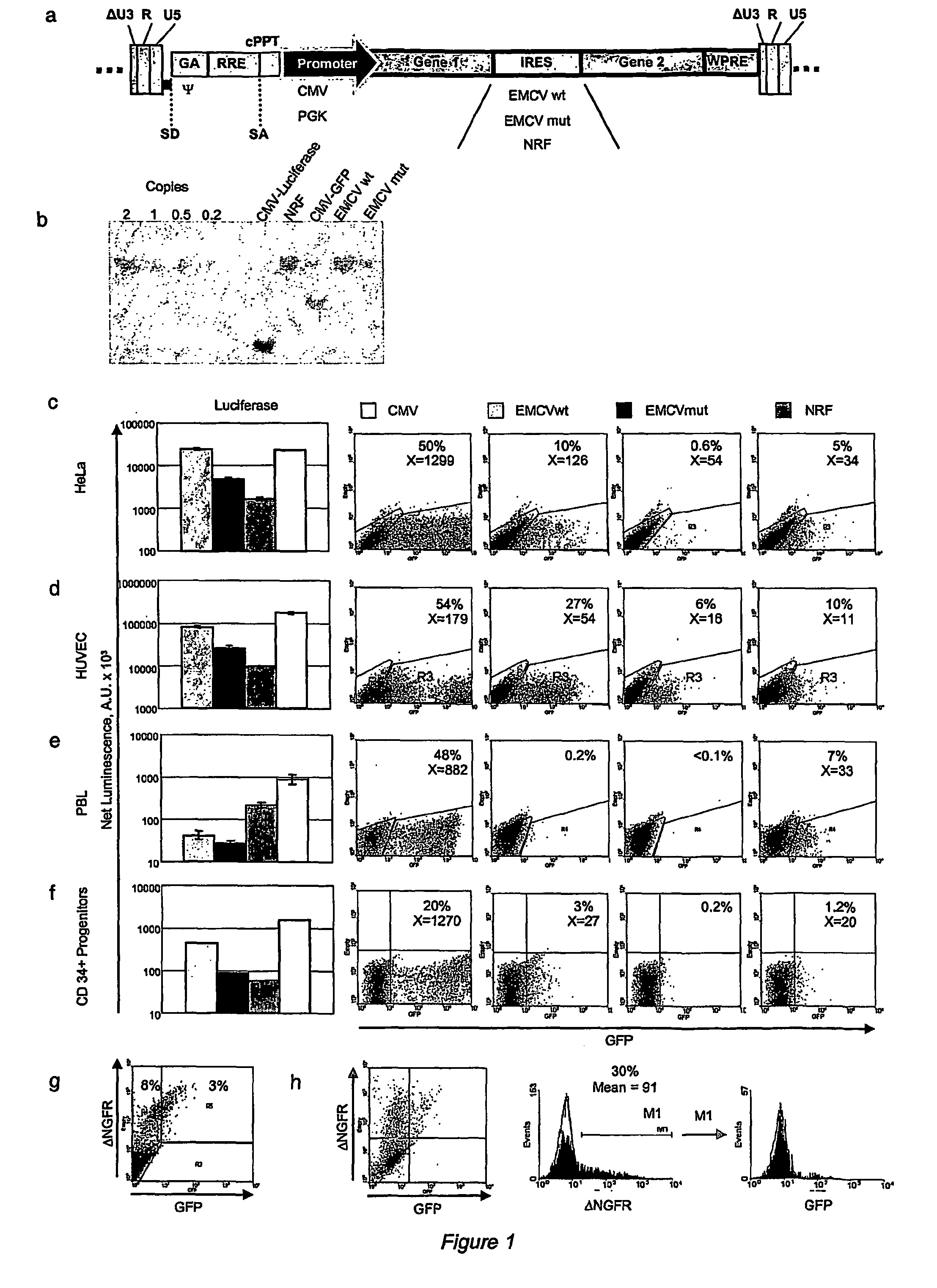Lentiviral vectors carrying synthetic bi-directional promoters and uses thereof