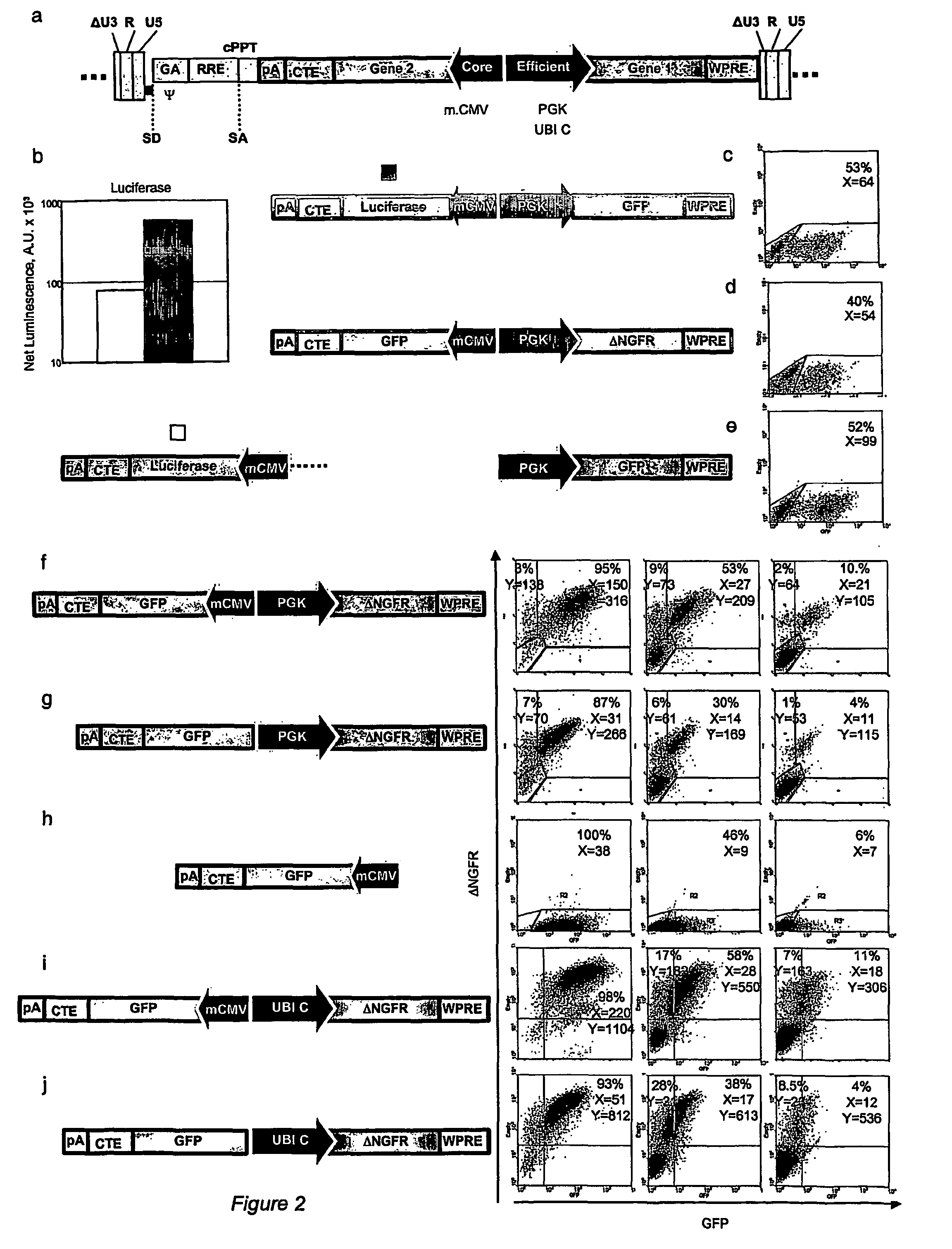 Lentiviral vectors carrying synthetic bi-directional promoters and uses thereof