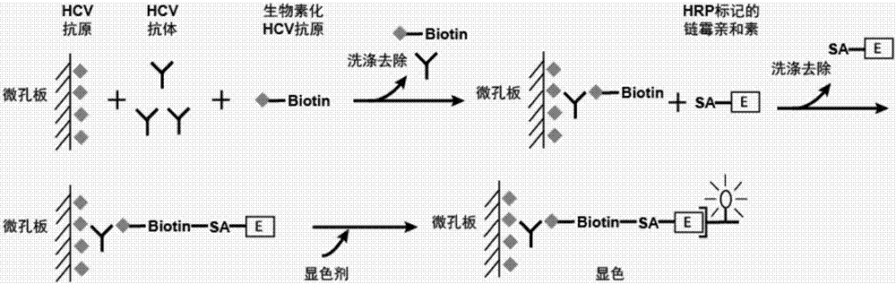 Hepatitis C antigen pretreatment method, and detection kit