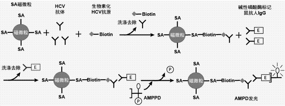 Hepatitis C antigen pretreatment method, and detection kit