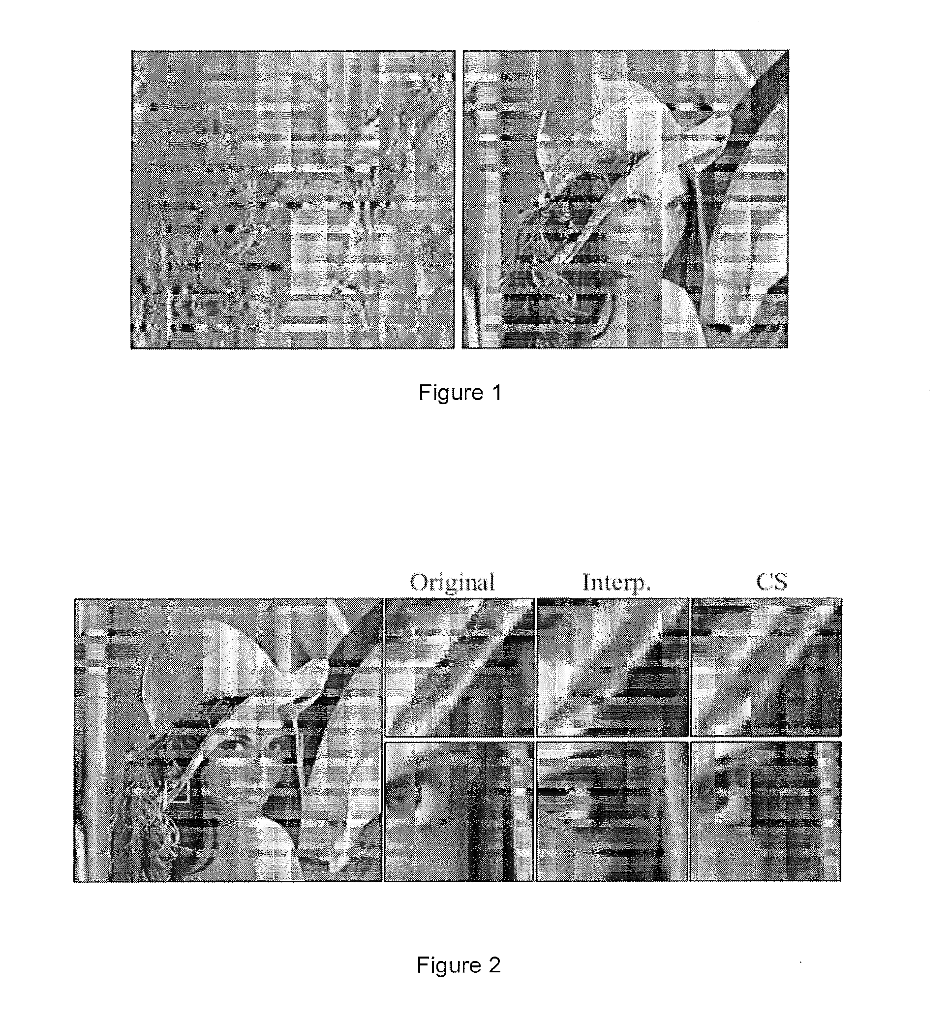 System and methods of compressed sensing as applied to computer graphics and computer imaging