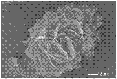 Flower-like nickel metal organic skeleton nano-material preparation method and application thereof