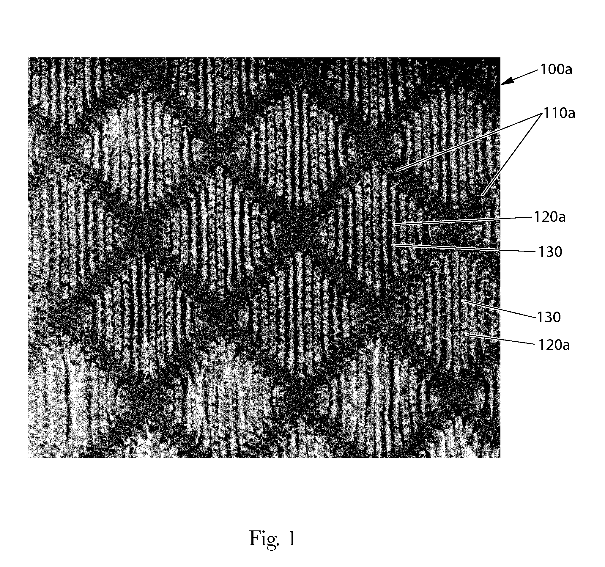 Web Substrate Having Activated Color Regions in Deformed Regions