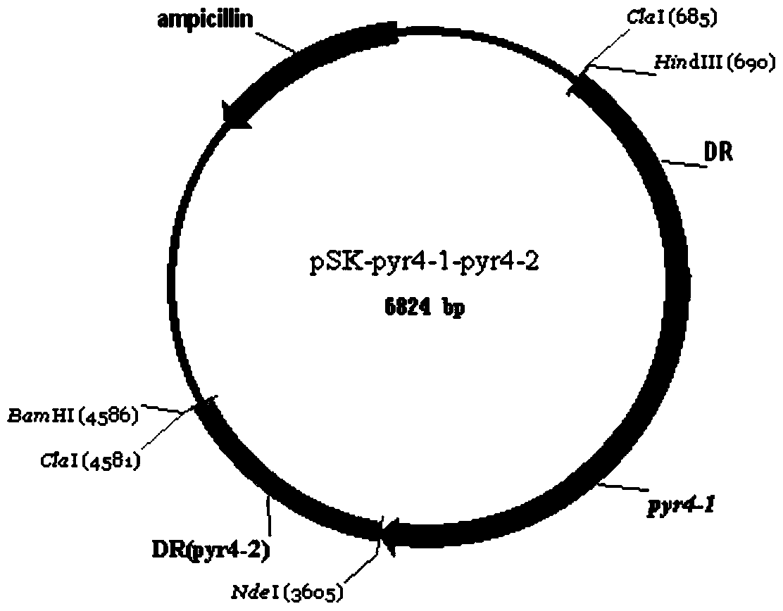 A kind of preparation method and application of recombinant Aspergillus niger glucose oxidase