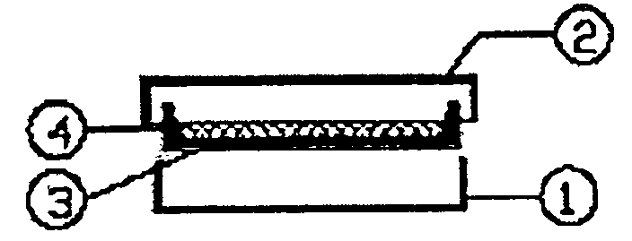 Insert device for culturing cells