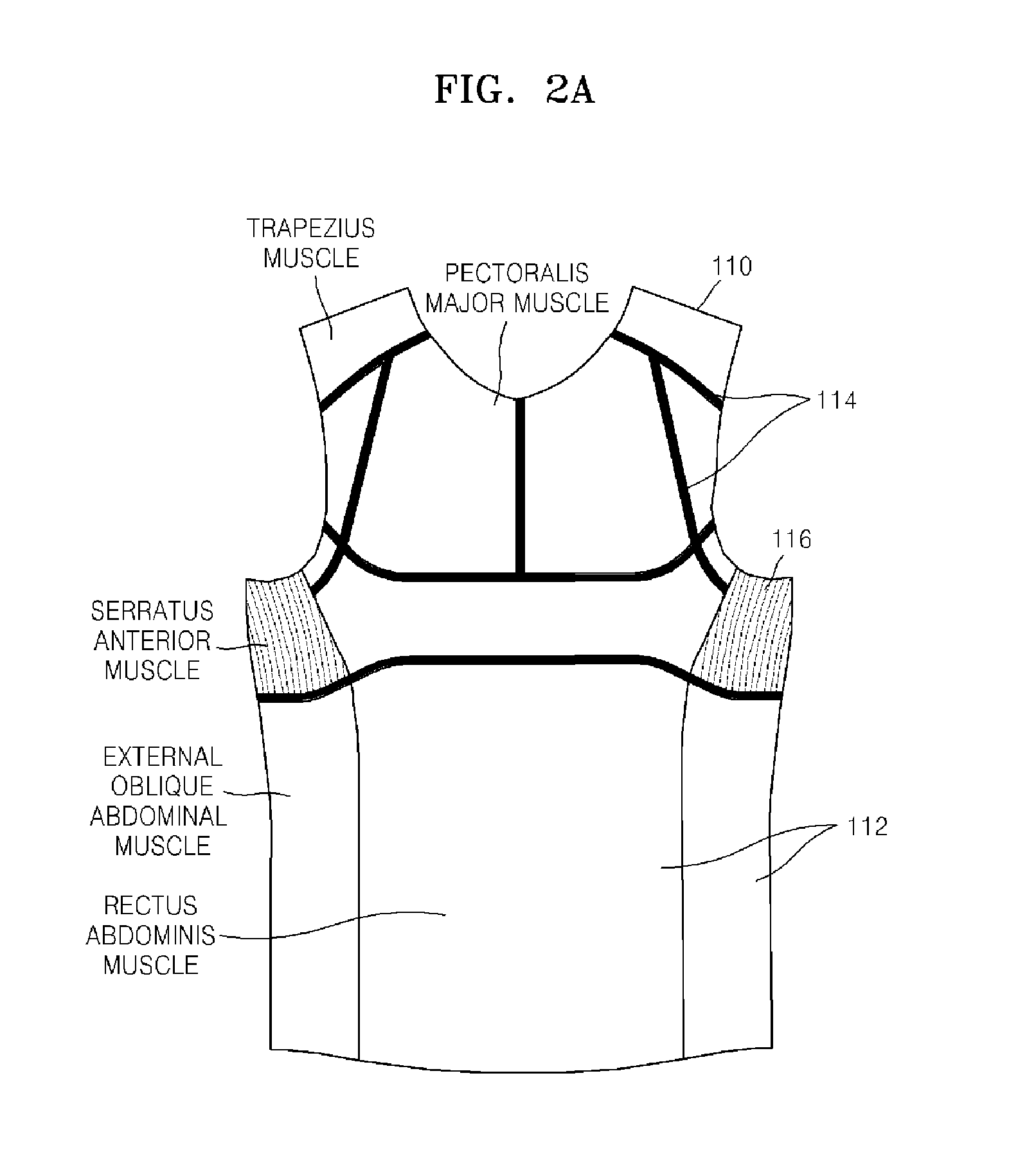 Garment for measuring physiological signal and system for processing physiological signal