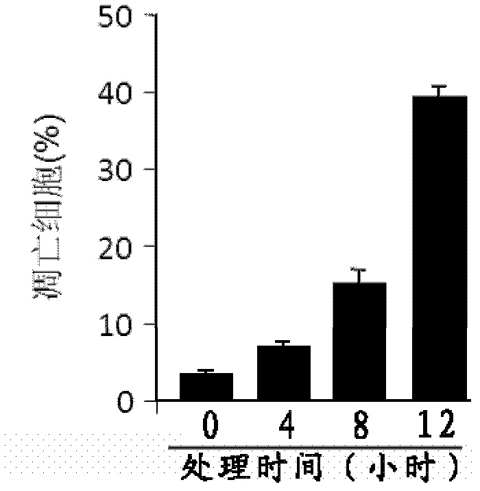 MiRNA-140 inhibitor and applications thereof