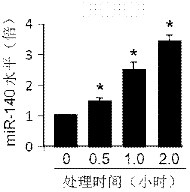 MiRNA-140 inhibitor and applications thereof