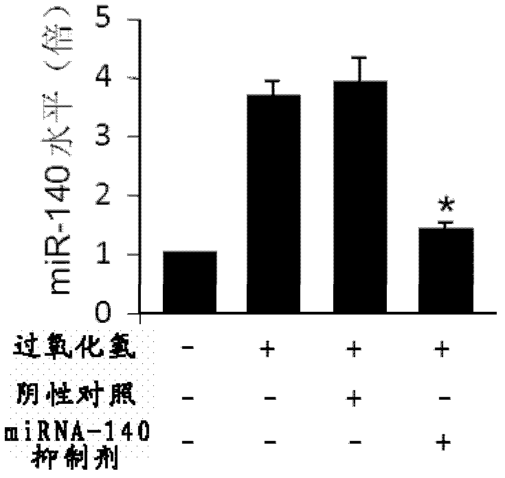 MiRNA-140 inhibitor and applications thereof