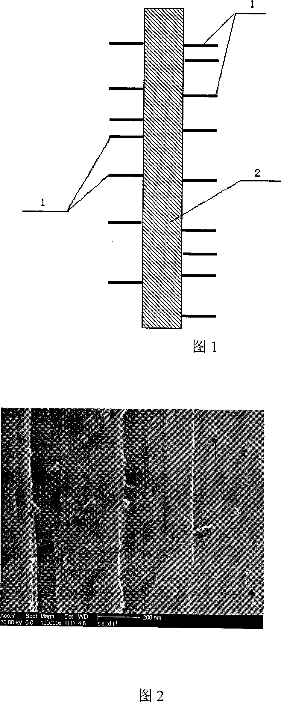 Carbon nano-tube connecting carbon fiber multi-scale reinforcing body and method for producing the same