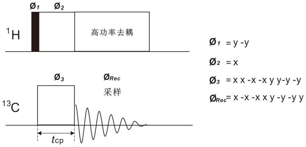 Solid state nuclear magnetic resonance quantitative detection method and device based on successive cross polarization