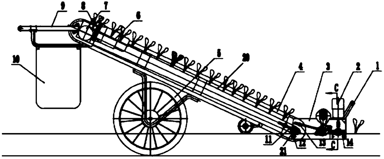 Vegetable orderly harvesting machine