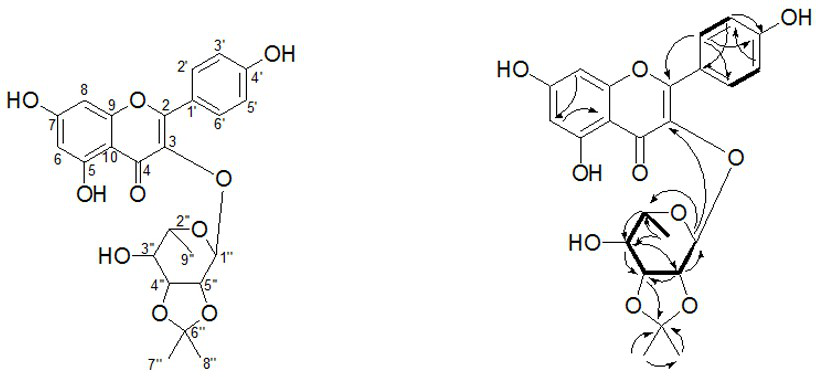 A kind of flavonoid compound and its preparation method and application