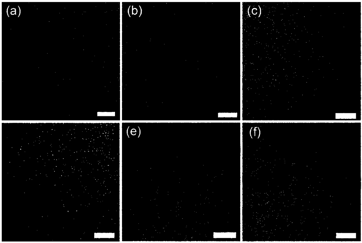 A method for synthesizing a large number of wavelength-tunable fluorescent carbon dots and carbon quantum dots prepared by the method