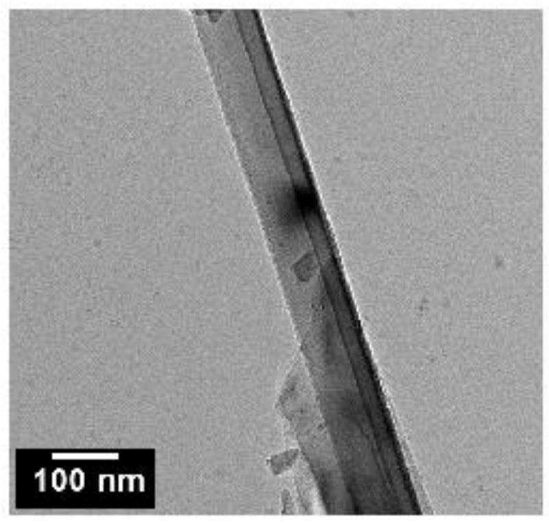 Preparation method and application of cell membrane coated nano topological structure array