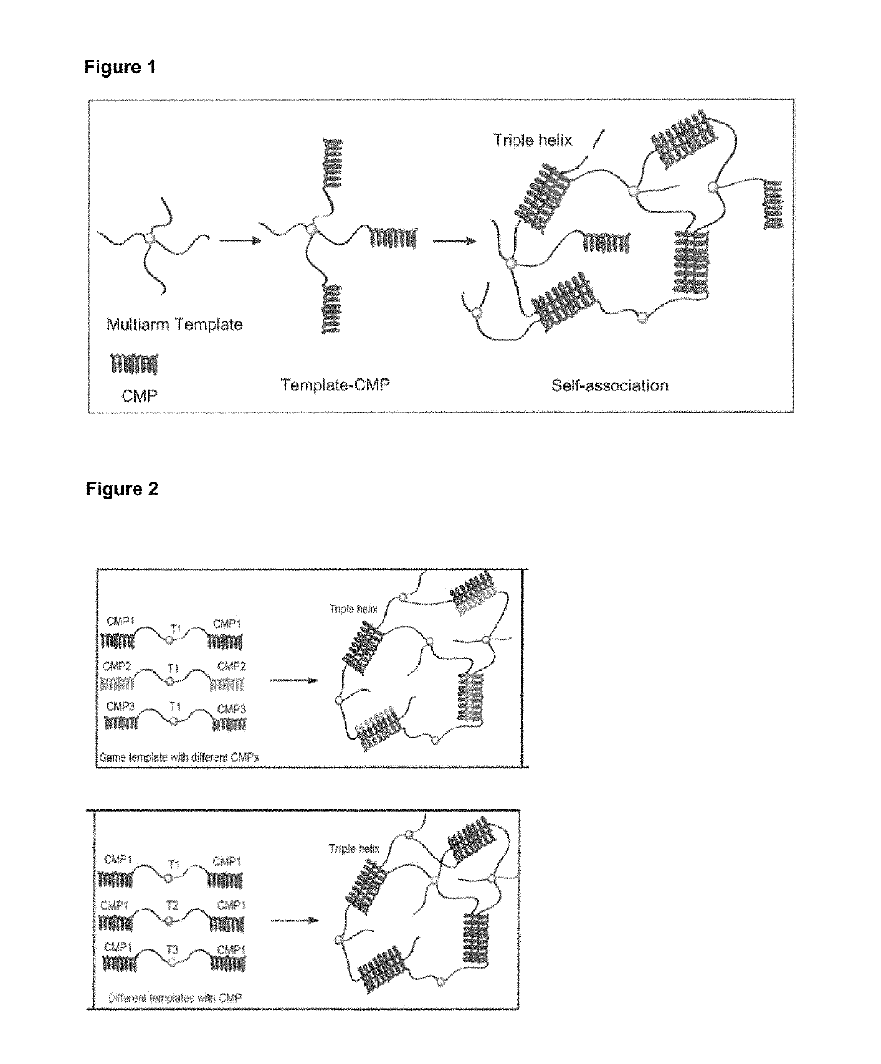 Collagen mimetic peptide