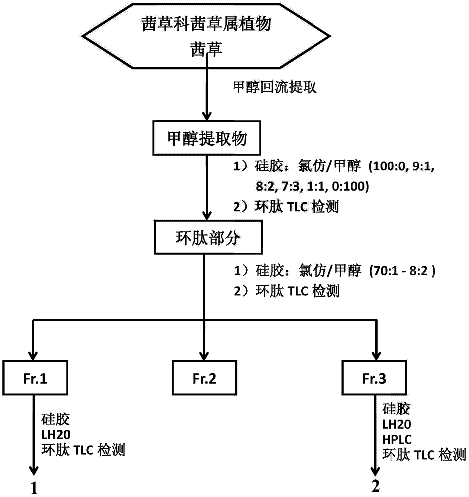 Rubiaceae type cyclopeptide used as tumor metastasis inhibitor as well as preparation method and application thereof