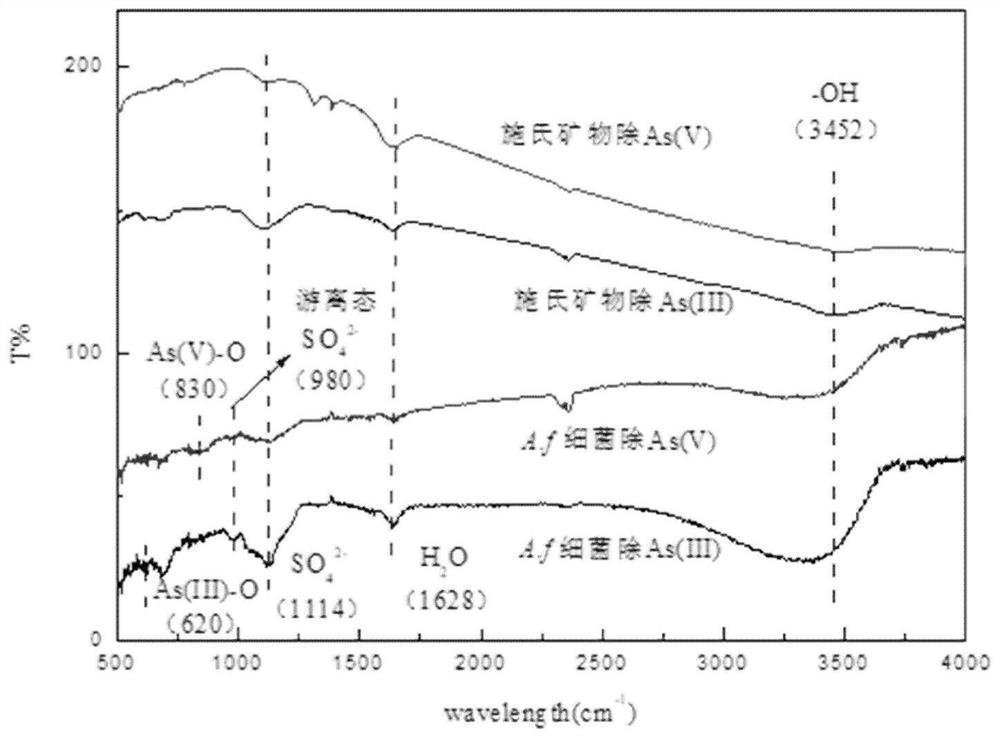 Method for treating arsenic-containing wastewater or arsenic-polluted soil by utilizing autotrophic bacteria