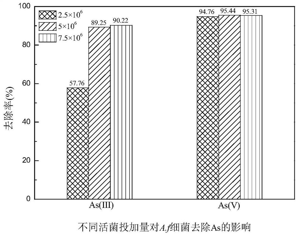 Method for treating arsenic-containing wastewater or arsenic-polluted soil by utilizing autotrophic bacteria