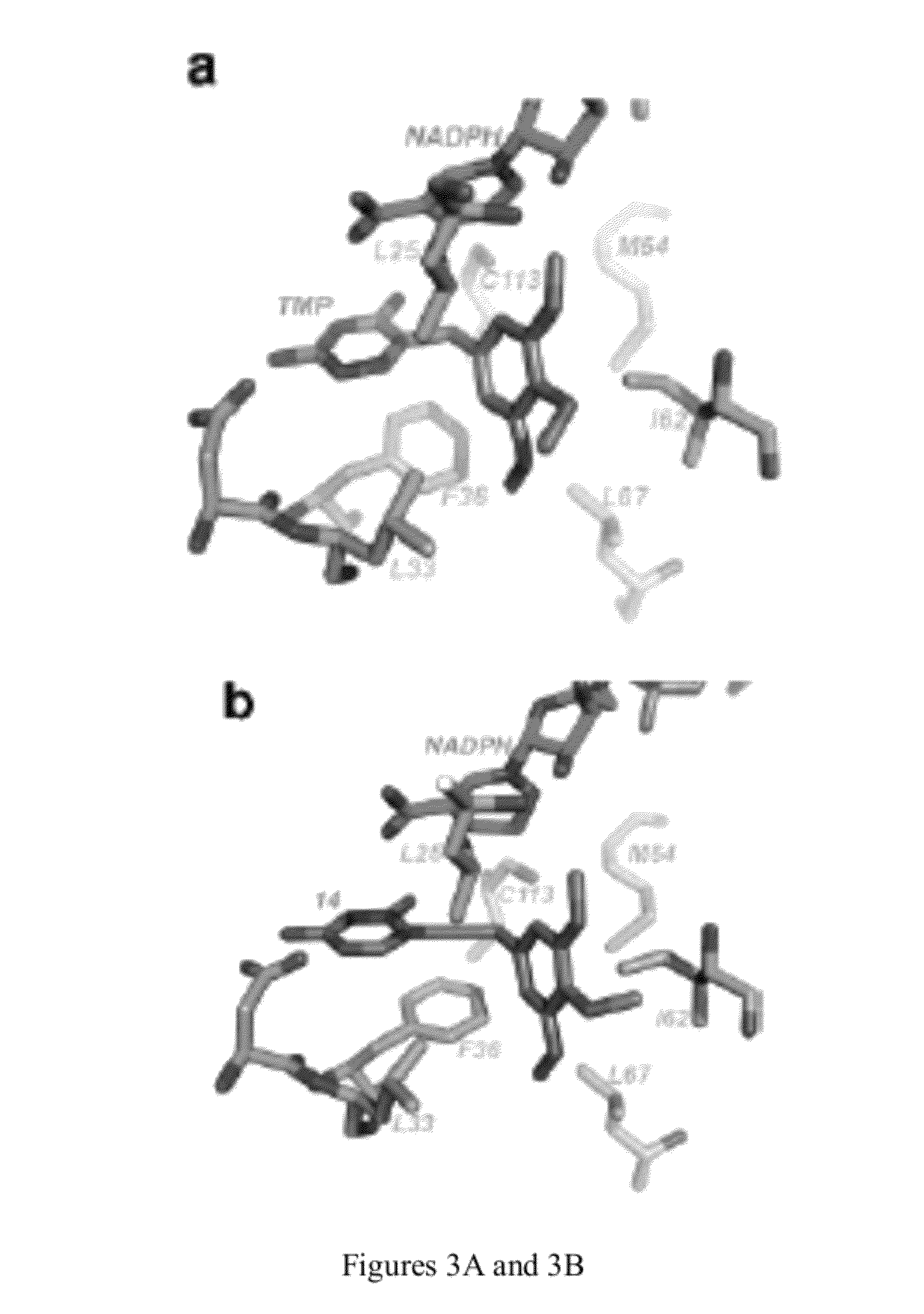 Heterocyclic analogs of propargyl-linked inhibitors of dihydrofolate reductase