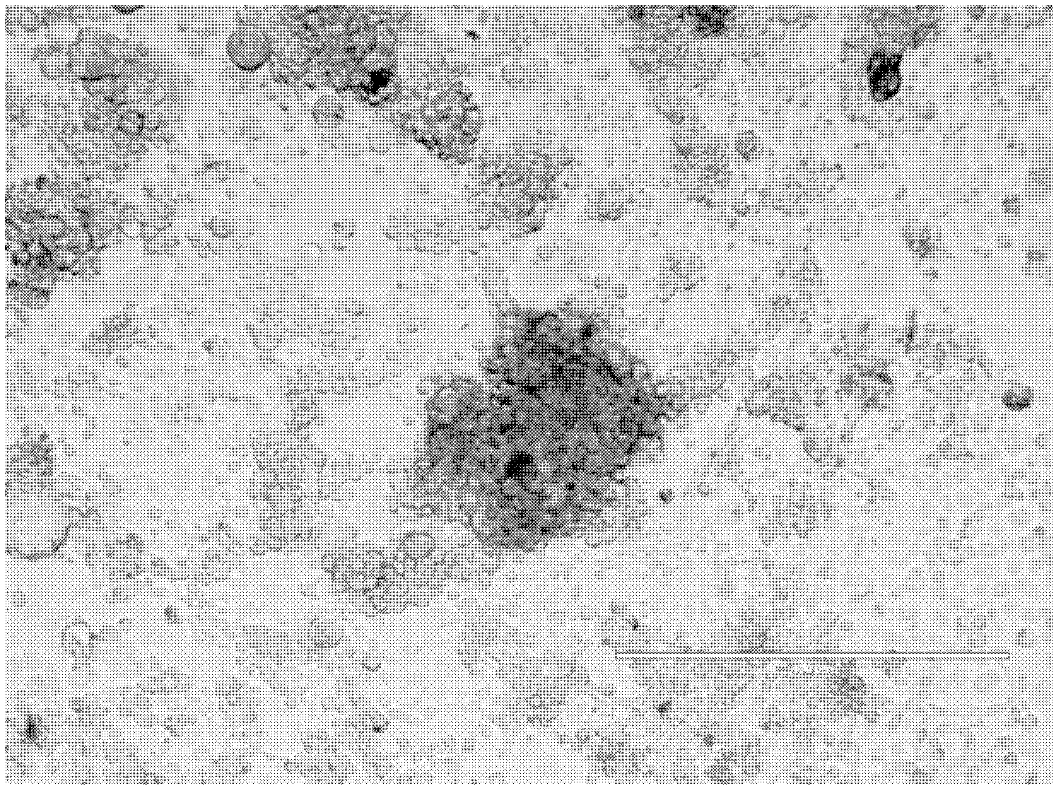 Transgenic insect cell line for high-yield baculovirus, and preparation method and application thereof