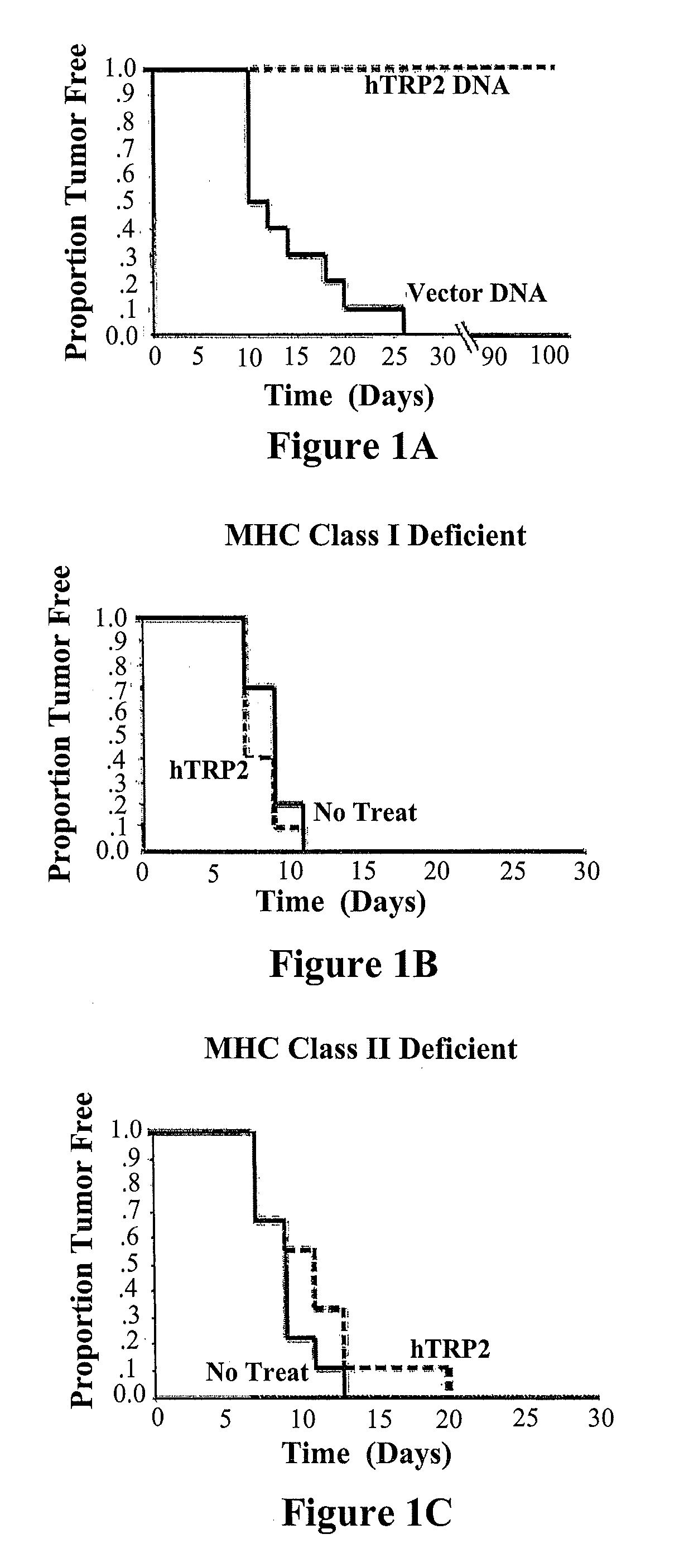 Method and Compositions for Stimulation of an Immune Response to TRP2 using a Xenogeneic TRP2 Antigen