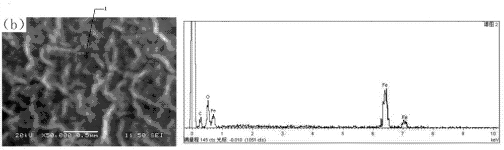 Nano-iron oxide loaded reticular porous heavy metal adsorption material and preparation method