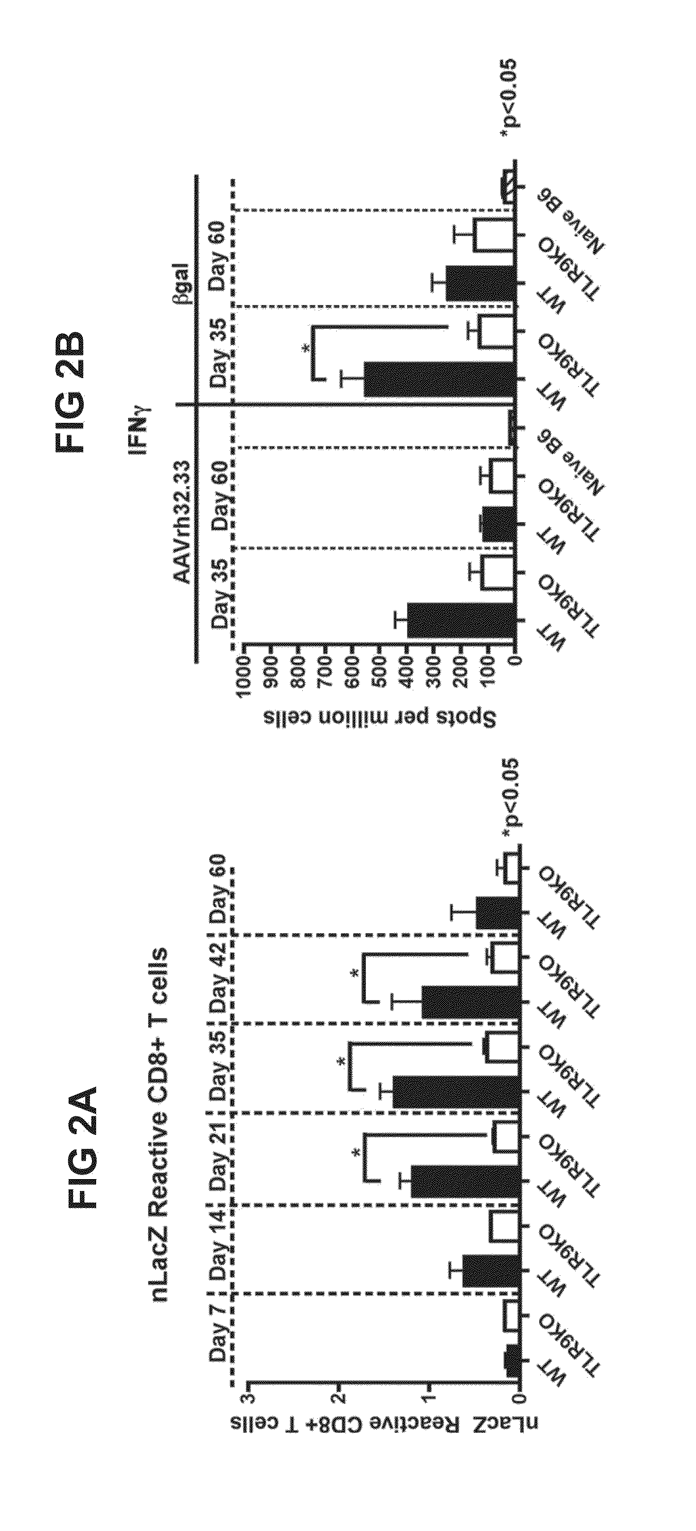 Constructs and methods for delivering molecules via viral vectors with blunted innate immune responses
