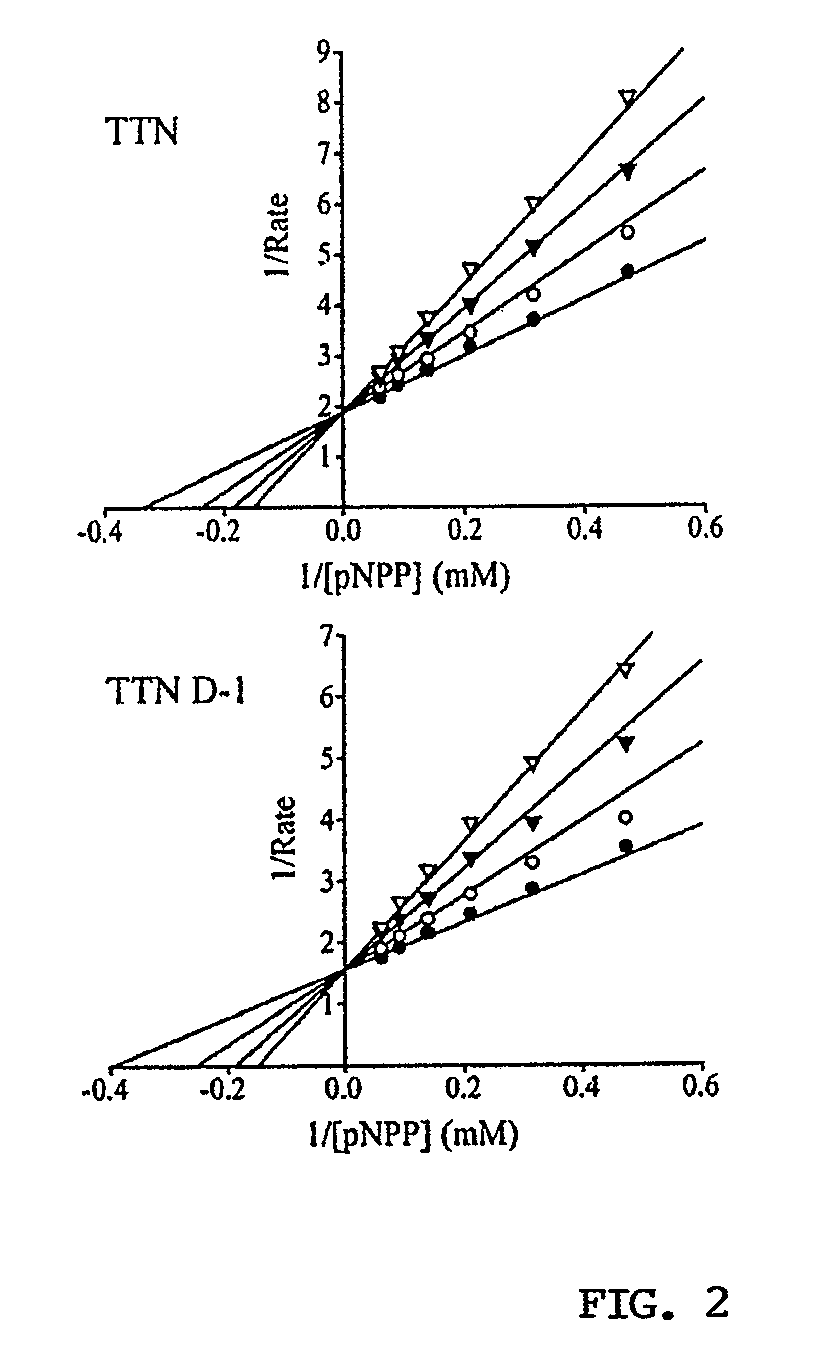 Tautomycetin and tautomycetin analog biosynthesis