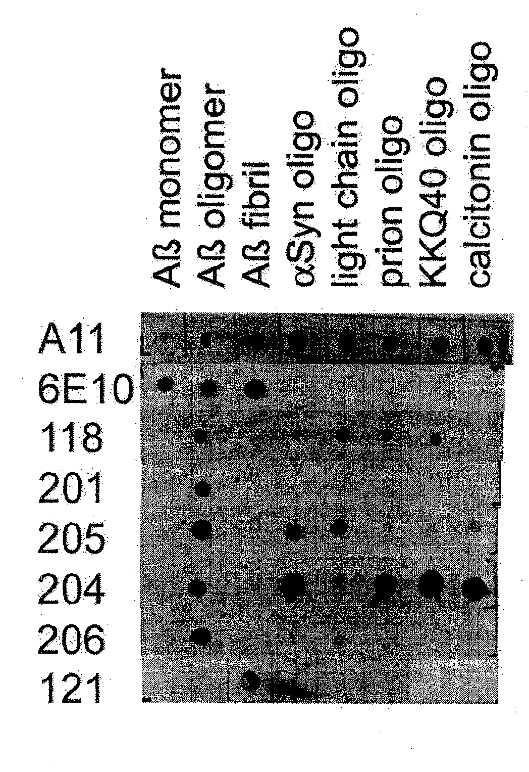 Monoclonal antibodies specific for pathological amyloid aggregates common to amyloids formed from proteins of differing sequence