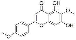 Application of pectolinarigenin in preparation of anti-esophageal cancer drug