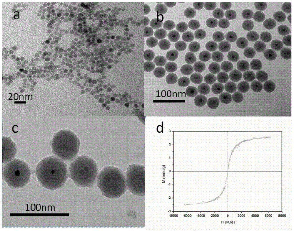 Phenylboronic Acid Modified Polyethyleneimine Hybrid Magnetic Nanoparticles and Its Preparation and Application