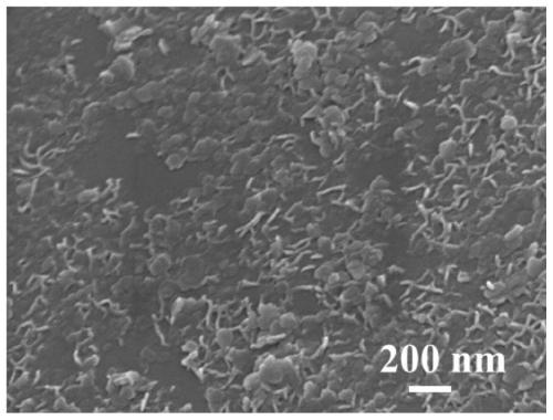 A kind of expandable graphite flame retardant with surface coated nanoparticles and preparation method thereof