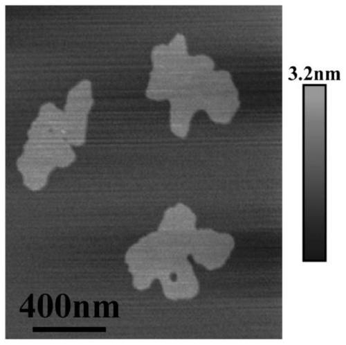 A carbon-coated ultra-thin femose  <sub>4</sub> Preparation method of nano potato chip-like potassium ion anode material