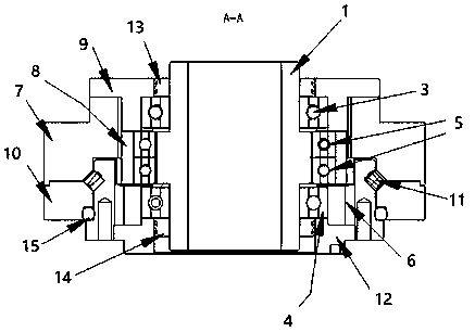 Elastic speed reducer