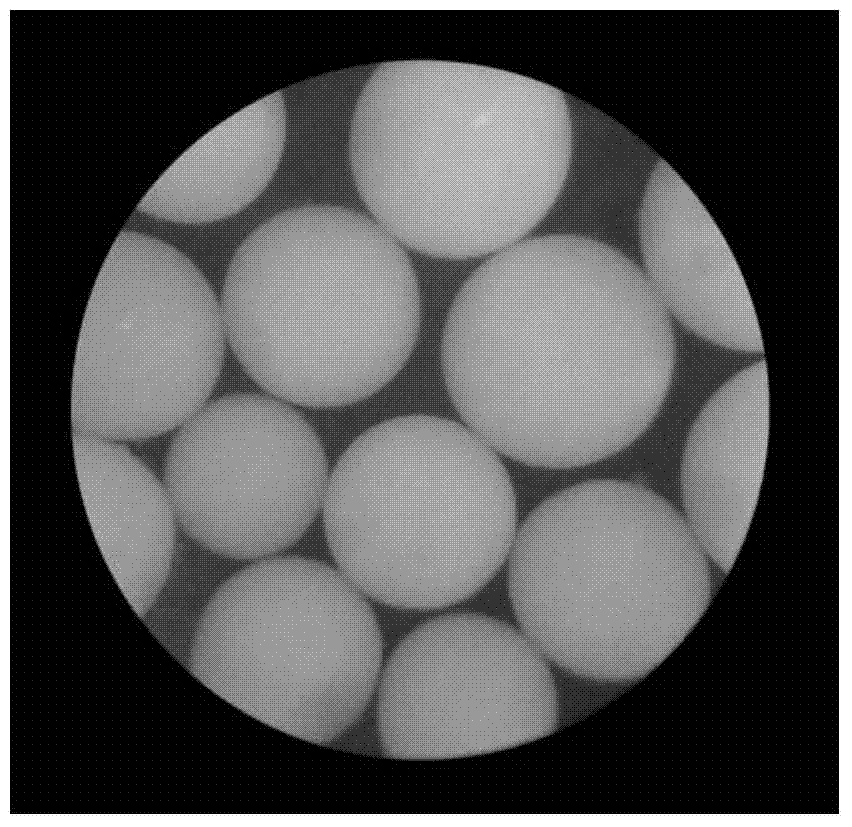Polyvinyl alcohol magnetic particles as well as preparation method and application thereof