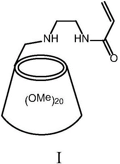 Water-based subject and object body type photoinitiator and preparation method thereof